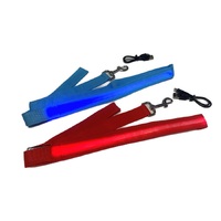 led hondenriem blauw en rood verlicht_DB